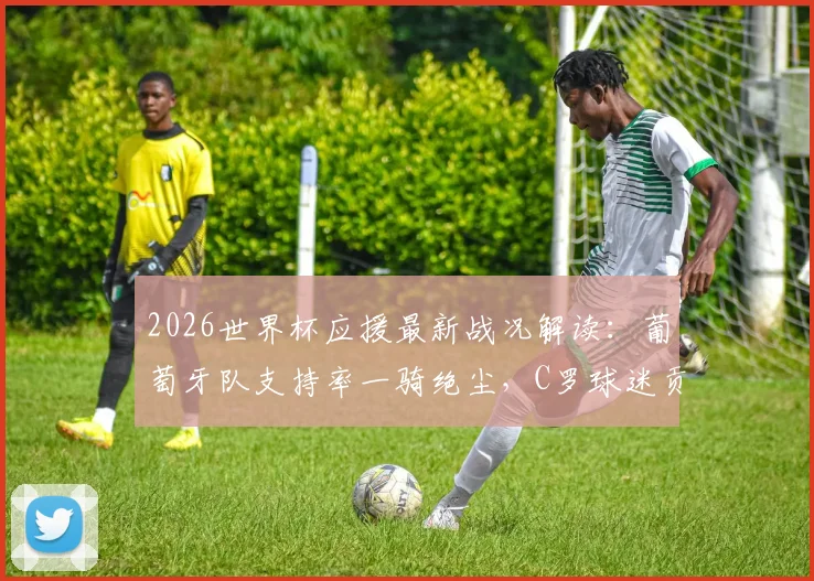 2026世界杯应援最新战况解读：葡萄牙队支持率一骑绝尘，C罗球迷贡献主力，应援总数即将突破40万大关